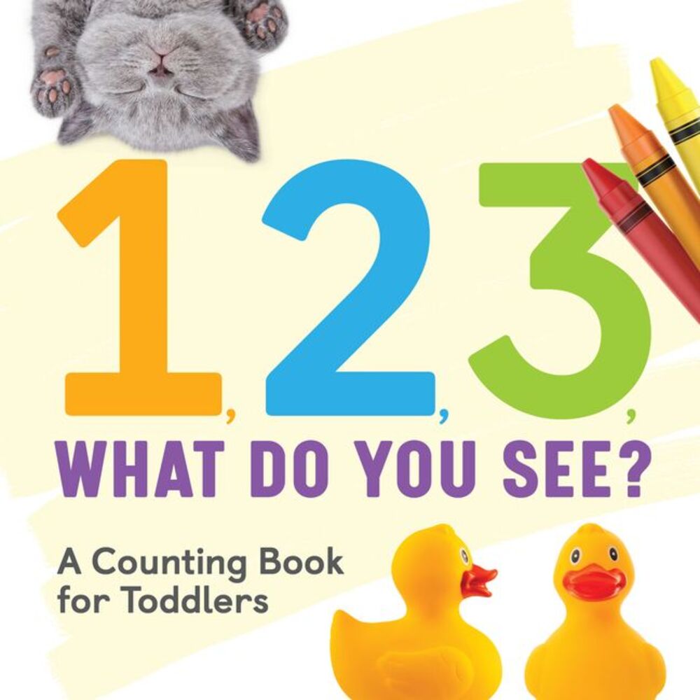 1, 2, 3, What Do You See?: A Counting Book for Toddlers -- Rockridge Press